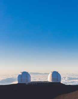 NDP statement following the Brussels attacks