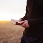 Shekel – Community Services for People With Special Needs