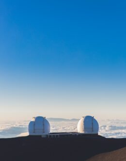 NDP statement following the Brussels attacks
