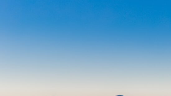 NDP statement following the Brussels attacks