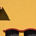 An Appeal for Suo Moto Cognizance for the Victims of the DHFL Scam