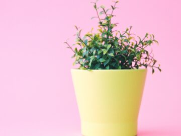 Demand that the UN intervene in Syria and stop the violence