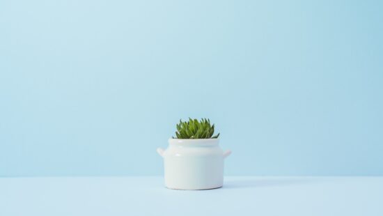 Stop Black Friday from Creeping into Thanksgiving!