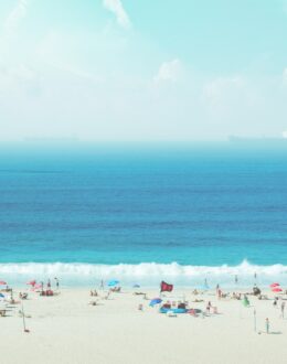 Vancouver Ulara Nakagawa inspires petition to save elephant in Japan