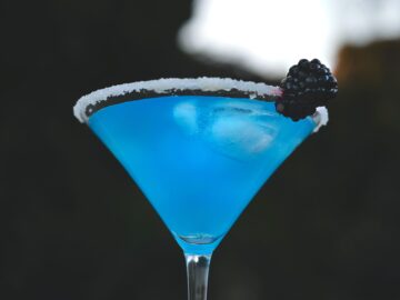 The Elevated Craft Cocktail Shaker