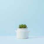 Stop Black Friday from Creeping into Thanksgiving!