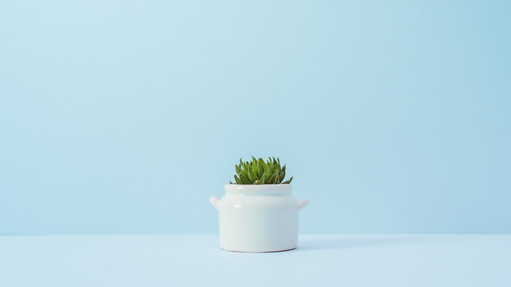 Stop Black Friday from Creeping into Thanksgiving!